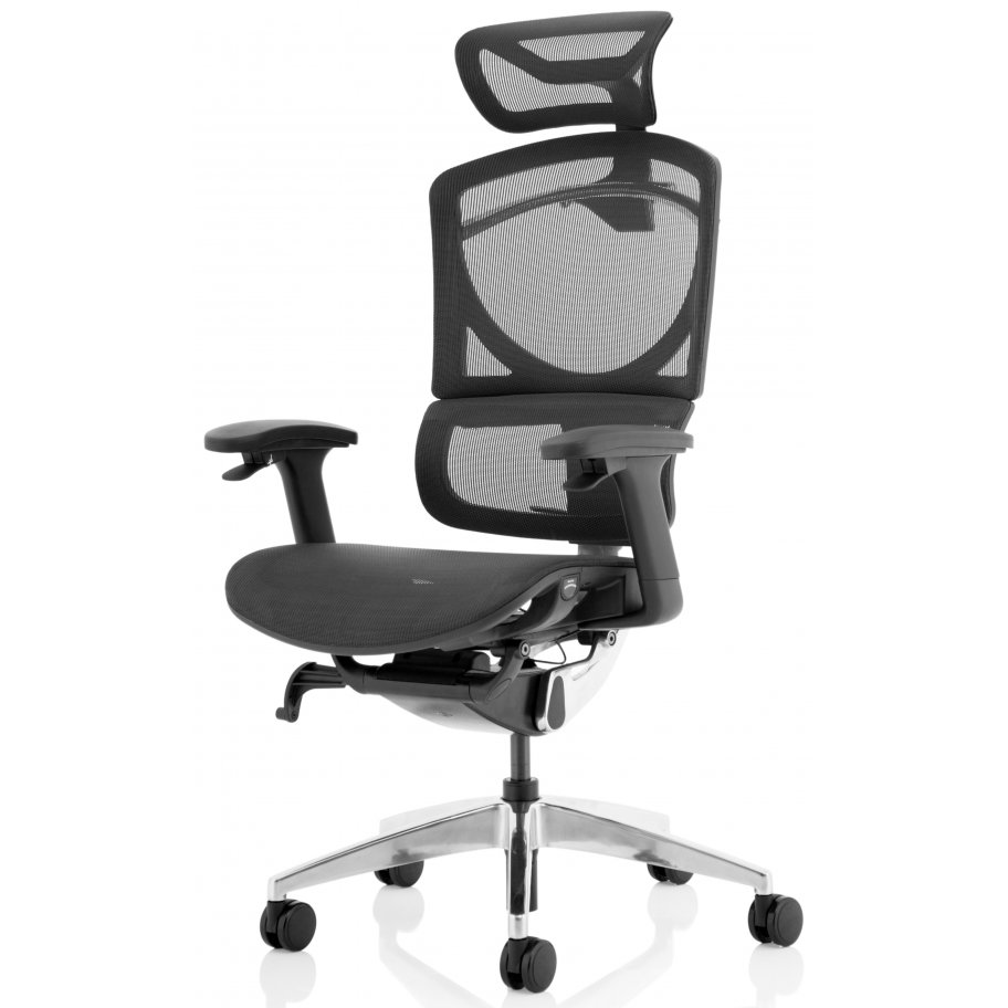 Best Office Chairs For Back Pain 2023 - Forbes Vetted